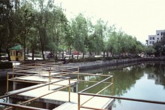 PICT0007