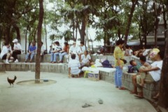PICT0044