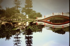 PICT0017